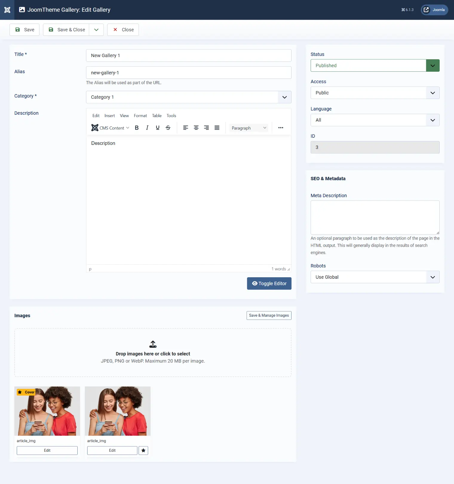 Gallery editing form with title, category, description and uploaded images