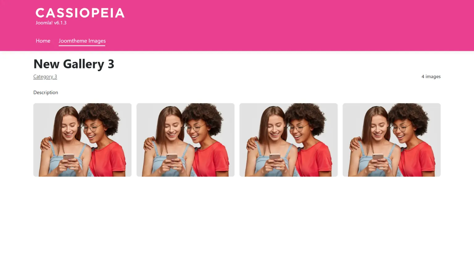Individual gallery page displaying images in a responsive grid