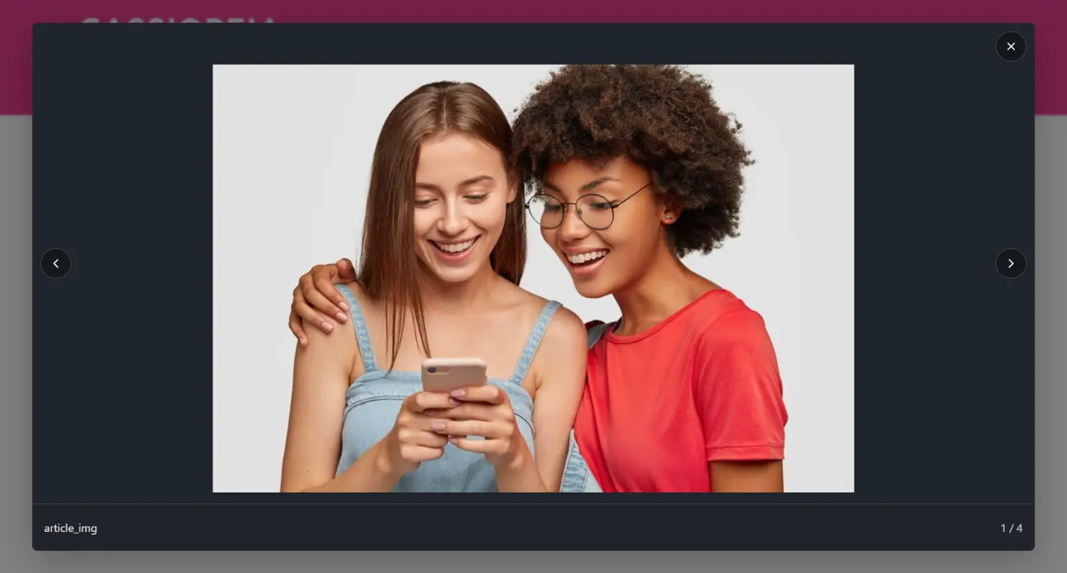Gallery image opened in a large lightbox with navigation controls